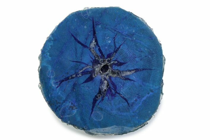 Vivid Blue Cut/Polished Azurite Nodule - Siberia #379869